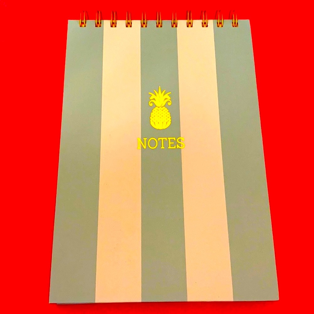 🆕 Blue Sky Notebook
